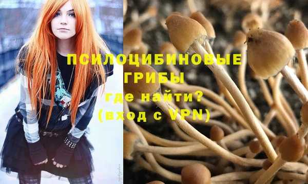 МДПВ Верхнеуральск